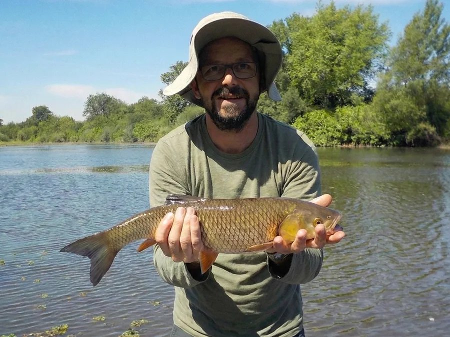 Beau chevesne de l'Allier