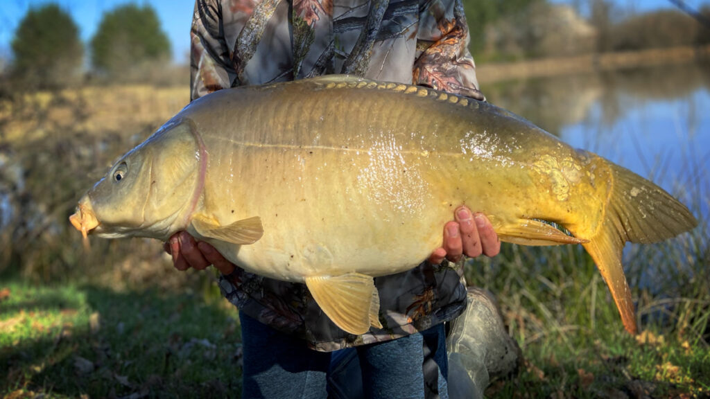 Stage de pêche feeder et method à Moulins