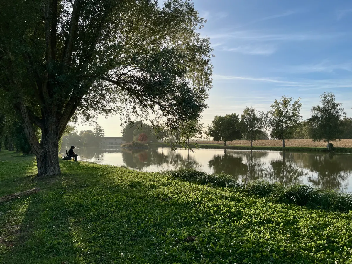 Stage feeder en plan d'eau