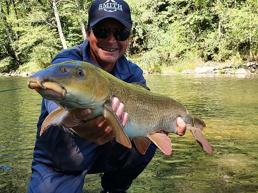 specimen-hunting-barbeaux-et-chevesnes