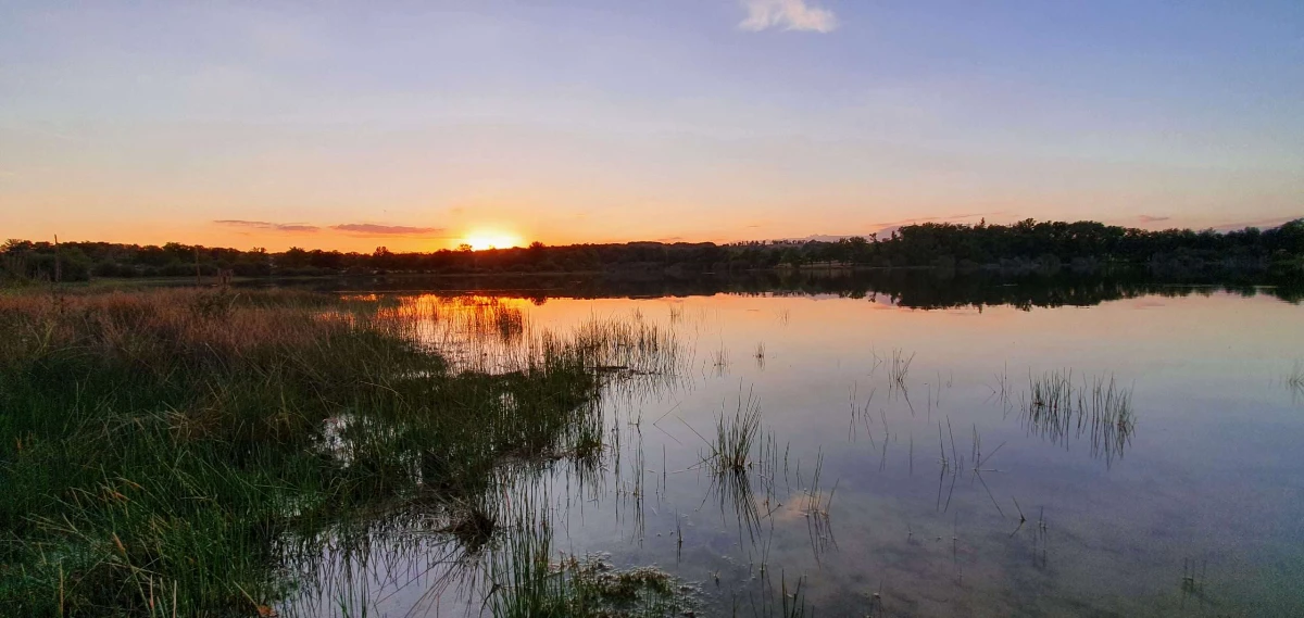 Lac de l'Allier pour la pêche au method feeder