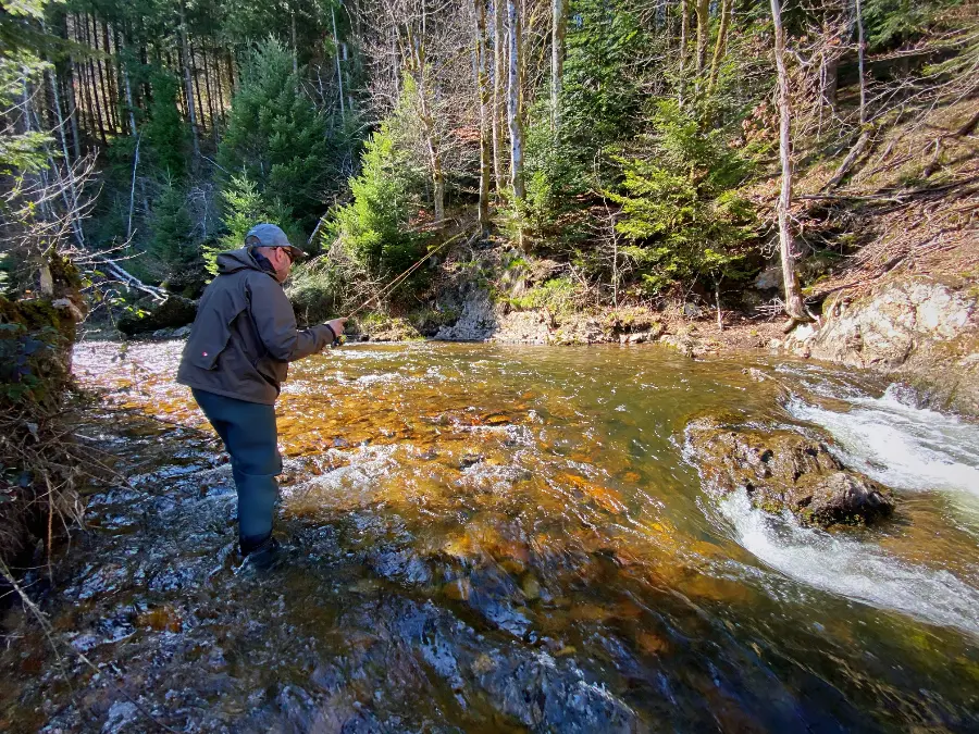 Lecture de la rivière