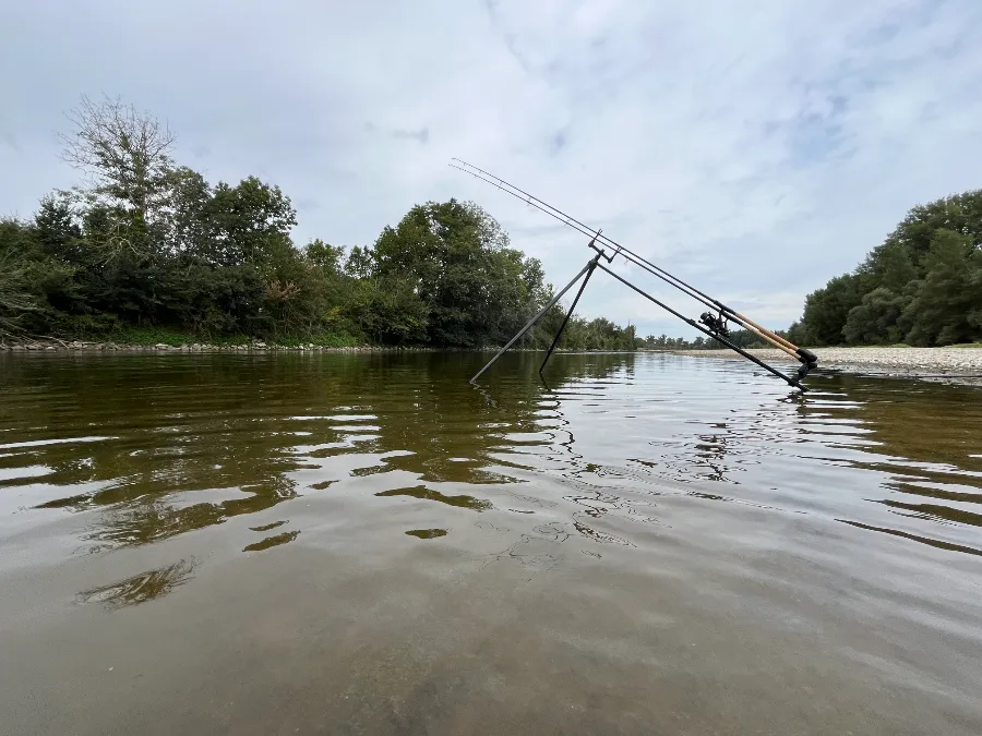 Matériel specimen hunting