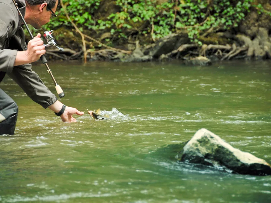 Pêche de la truite en Auvergne