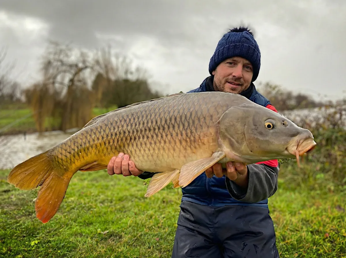 Stage de pêche à l'anglaise en plan d'eau