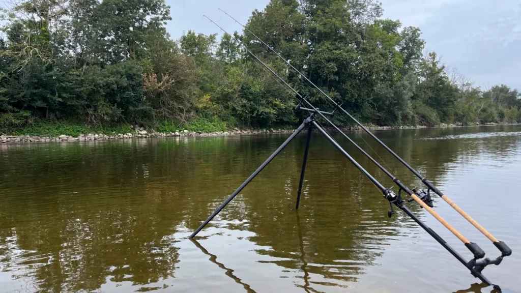 Stage de pêche - specimen hunting