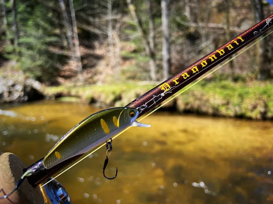 Stage truites aux leurres