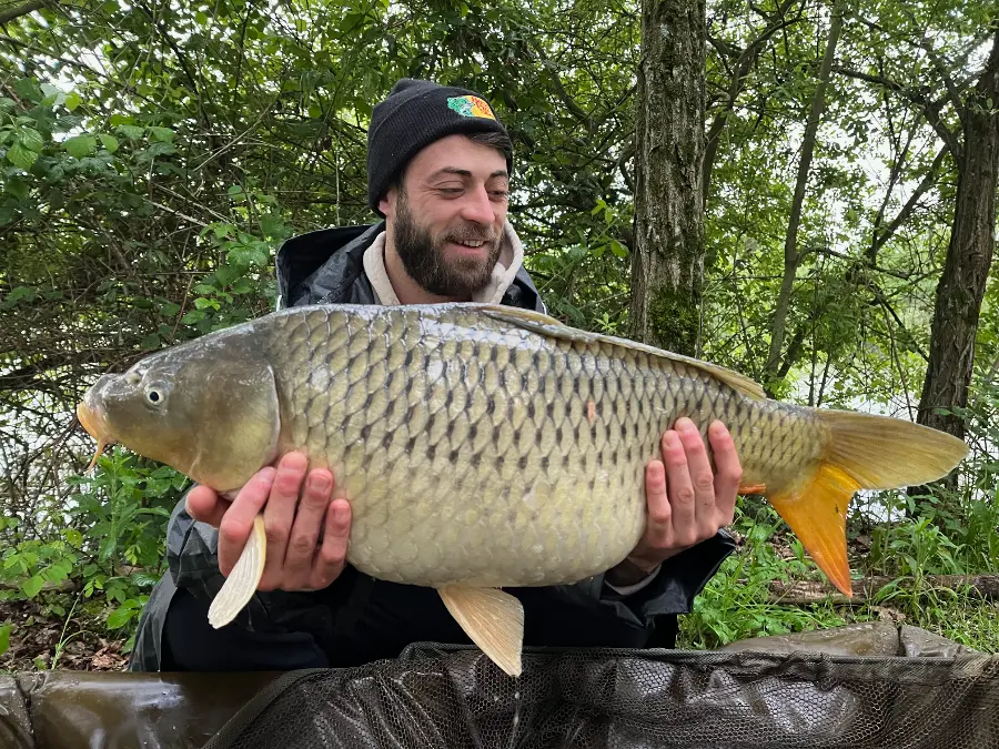 carpe d'étang de l'Allier