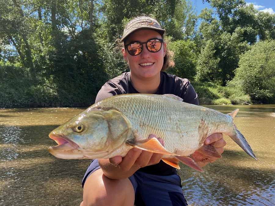 Aspe de l'Allier pris en stage de perfectionnement pêche aux leurres