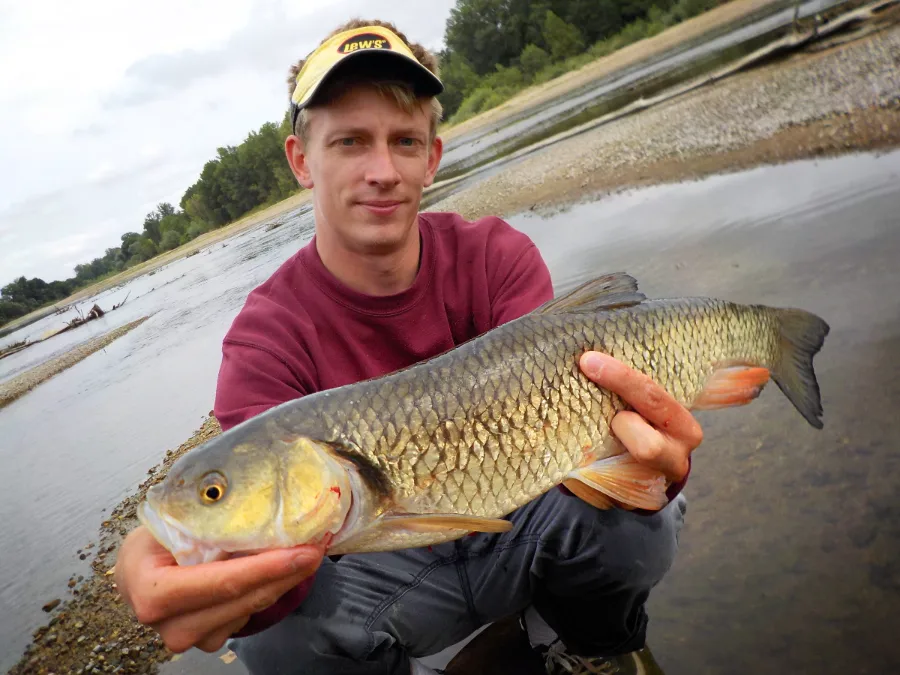 Beau chevesne de l'Allier