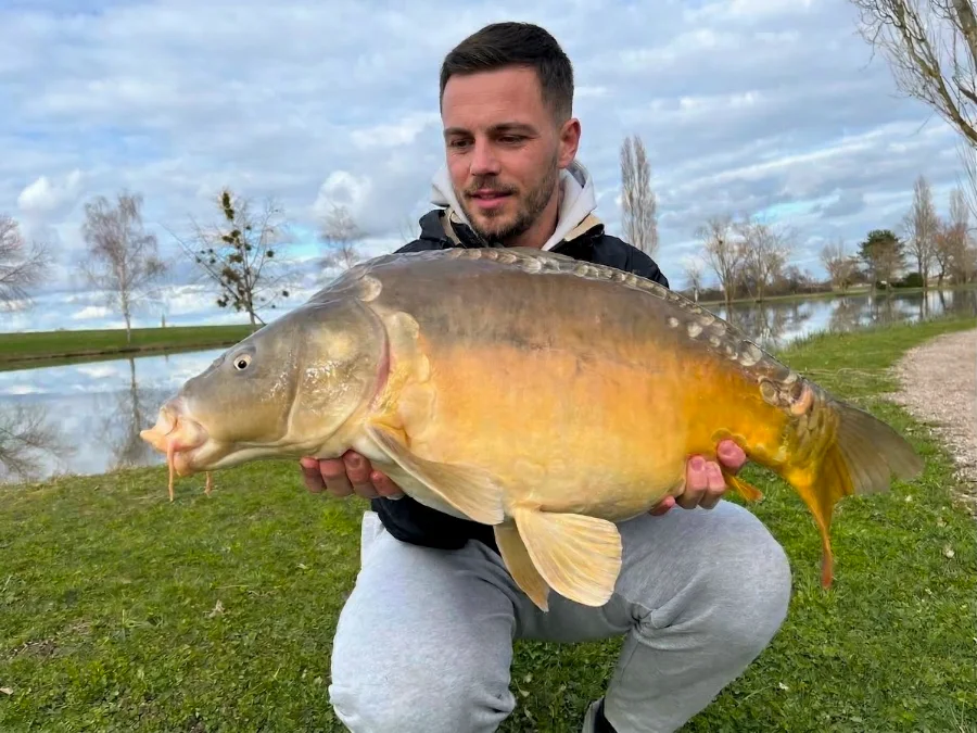 Carpe d'étang du Bourbonnais
