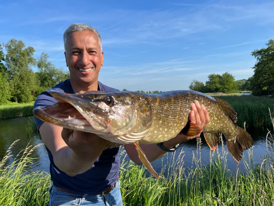 Compréhension des tenues du brochet