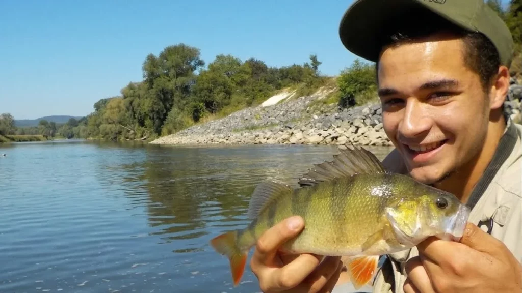 Initiation pêche aux leurres sur l'Allier