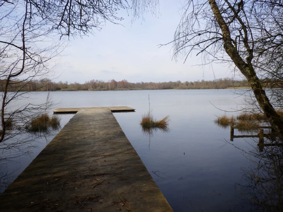 Lecture du milieu pour la pêche aux leurres
