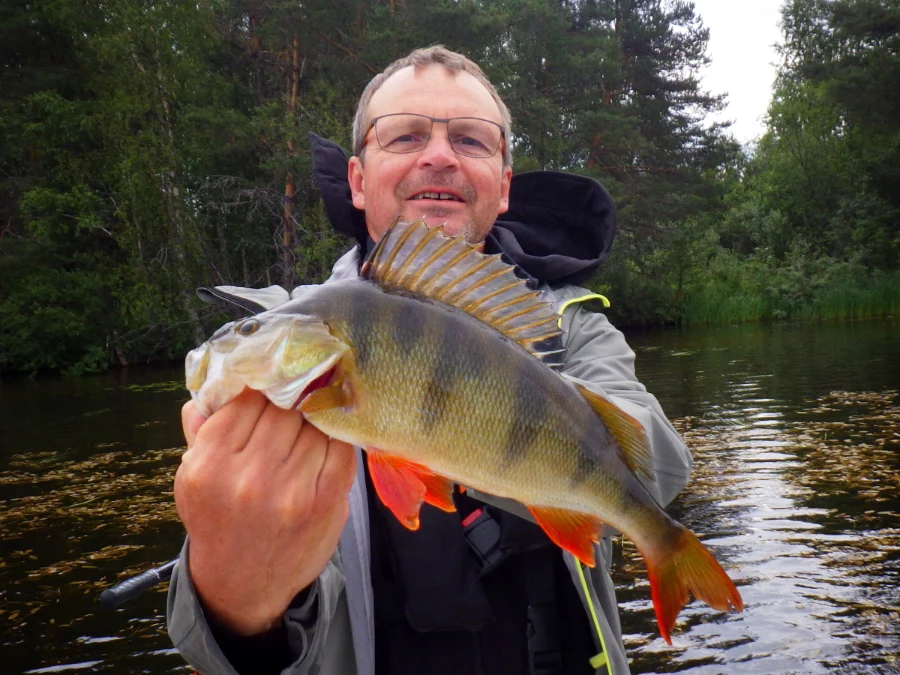 Perche en ultra léger