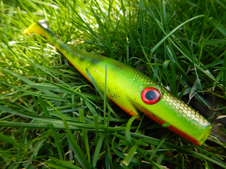 Choix des leurres : Pig Shad