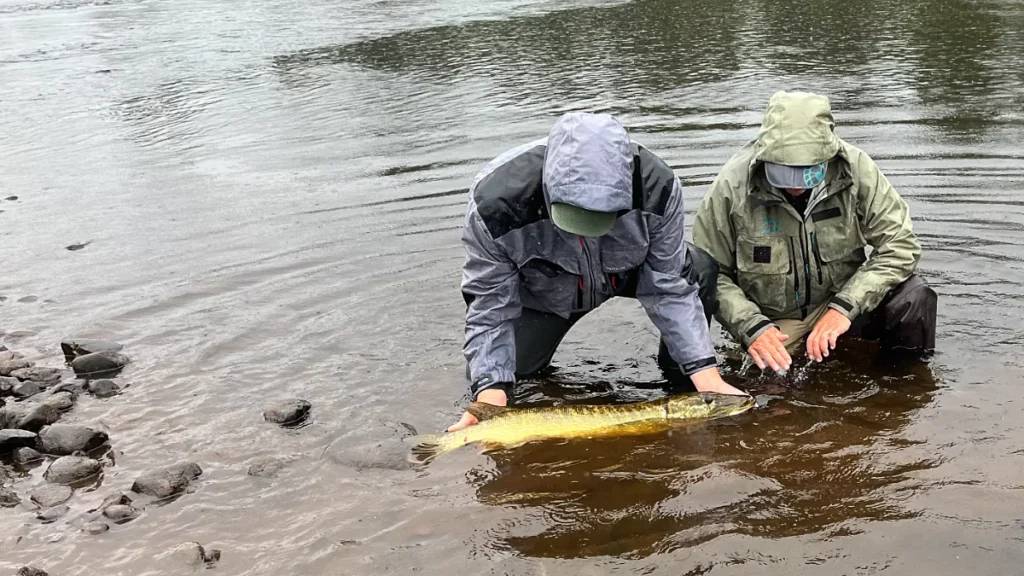 Séjour de pêche en Norvège Finnmark