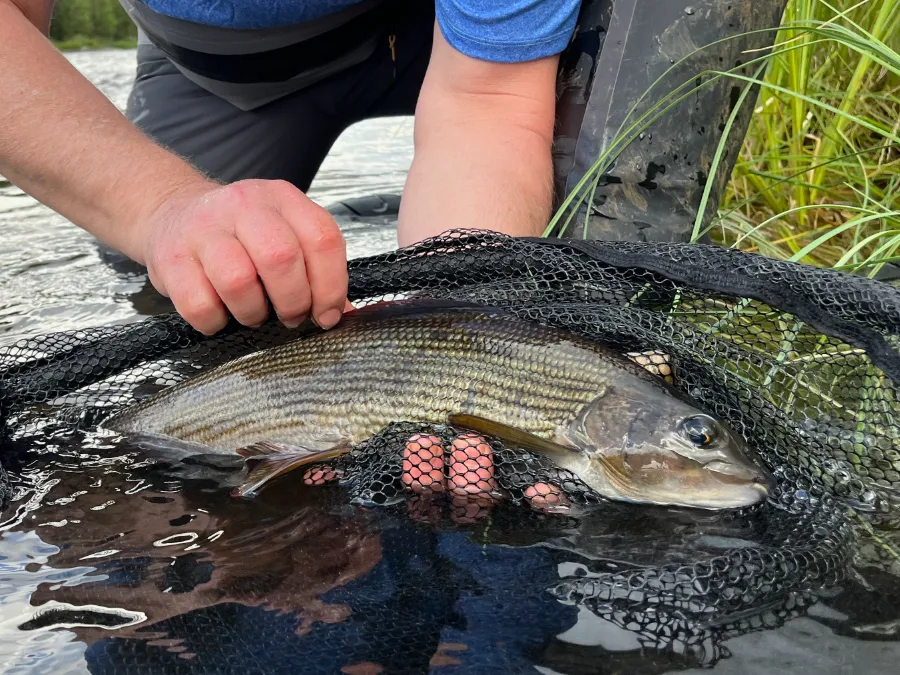 Séjour de pêche en Norvège dans le Finnmark