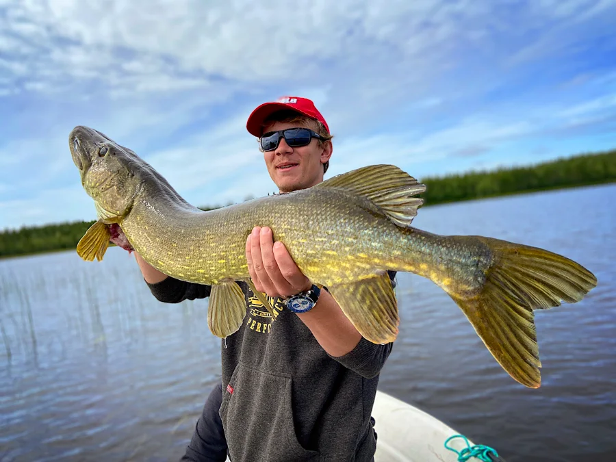 Séjours de pêche en Suède