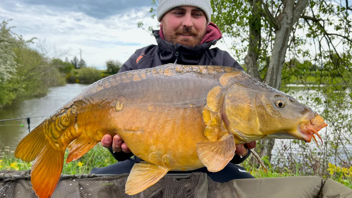 Stage de pêche moderne de la carpe