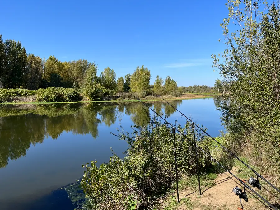 Stage de pêche pour carpiste