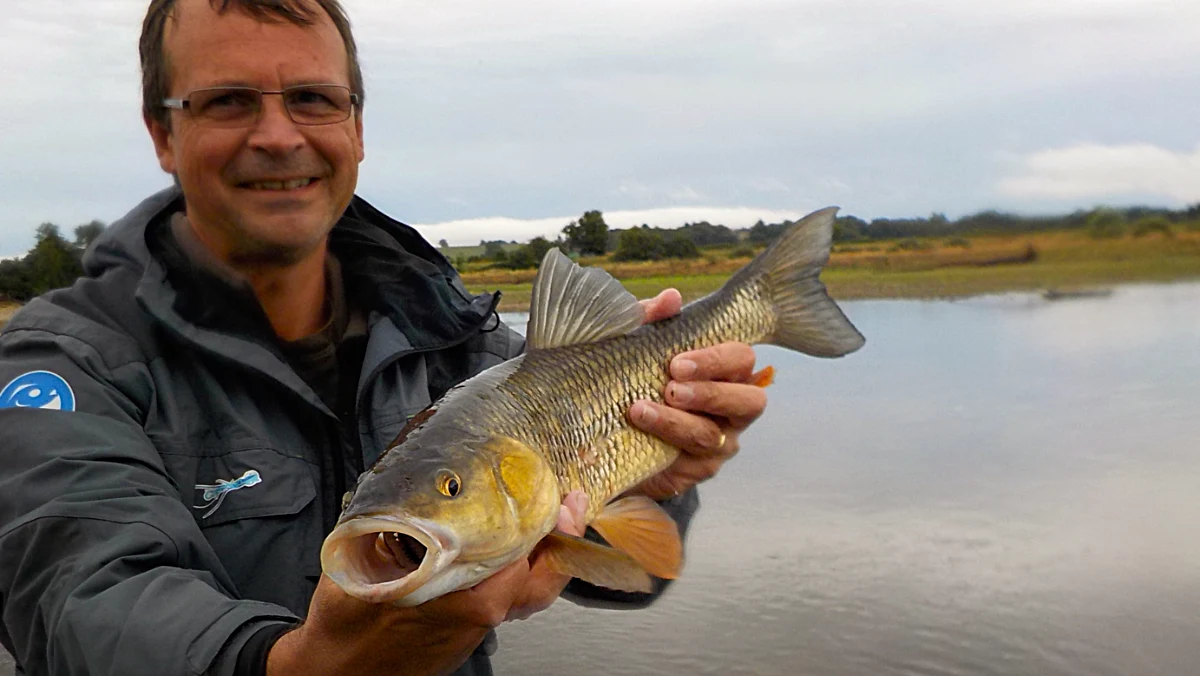 Stage de pêche street fishing