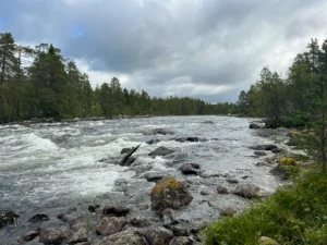 Zone amont de la rivière Trysilaelva