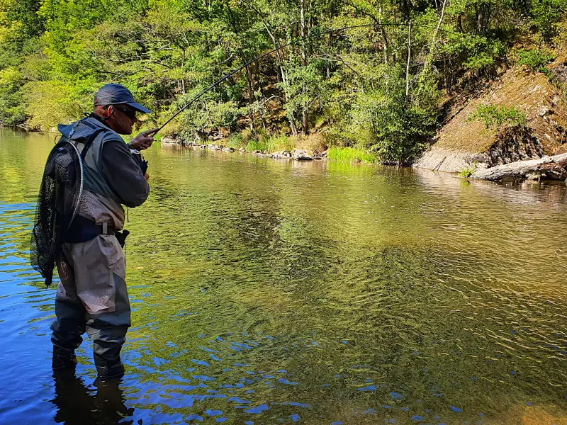 Ferrage d'une truite
