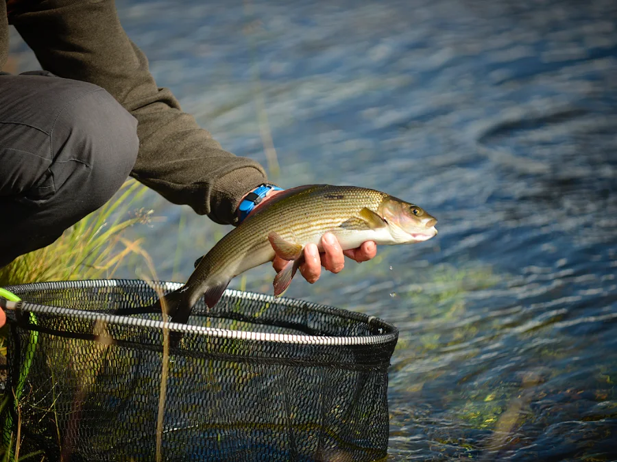initiation pêche en nymphe
